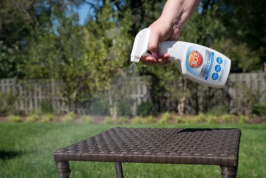 Where-Aerospace-Protectant-is-used-around-the-home-and-car 303 Car Care