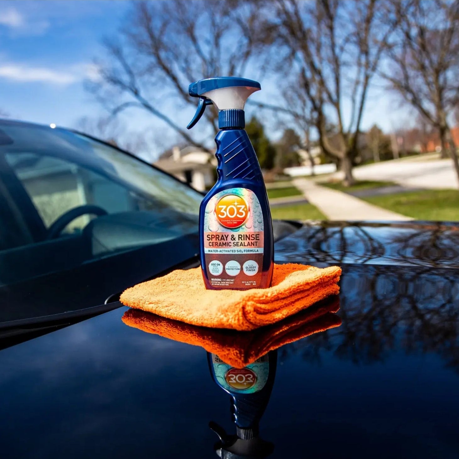 303 Spray & Rinse Ceramic Sealant (16oz) 303 Car Care