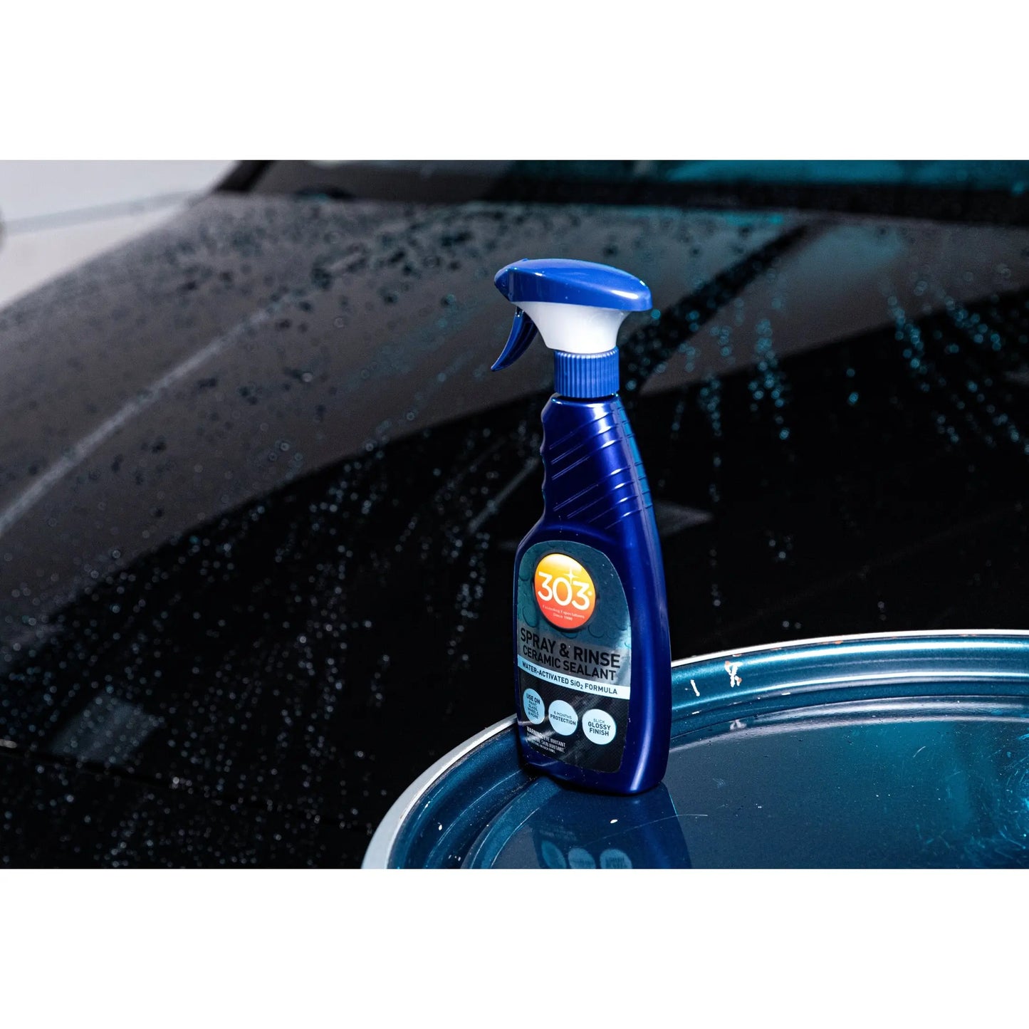 303 Spray & Rinse Ceramic Sealant (16oz) 303 Car Care
