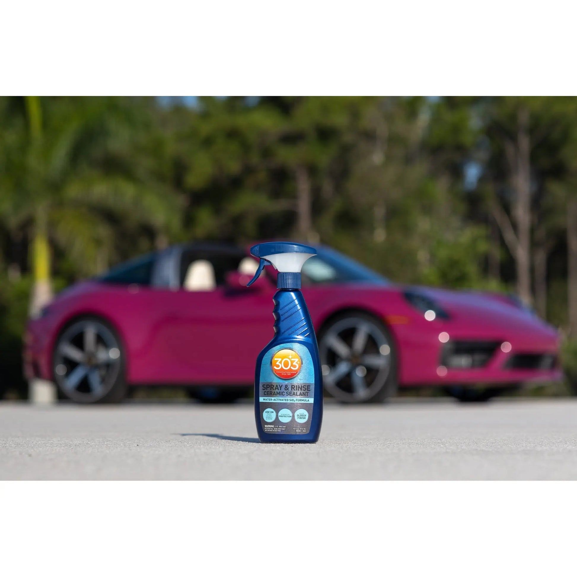 303 Spray & Rinse Ceramic Sealant (16oz) 303 Car Care