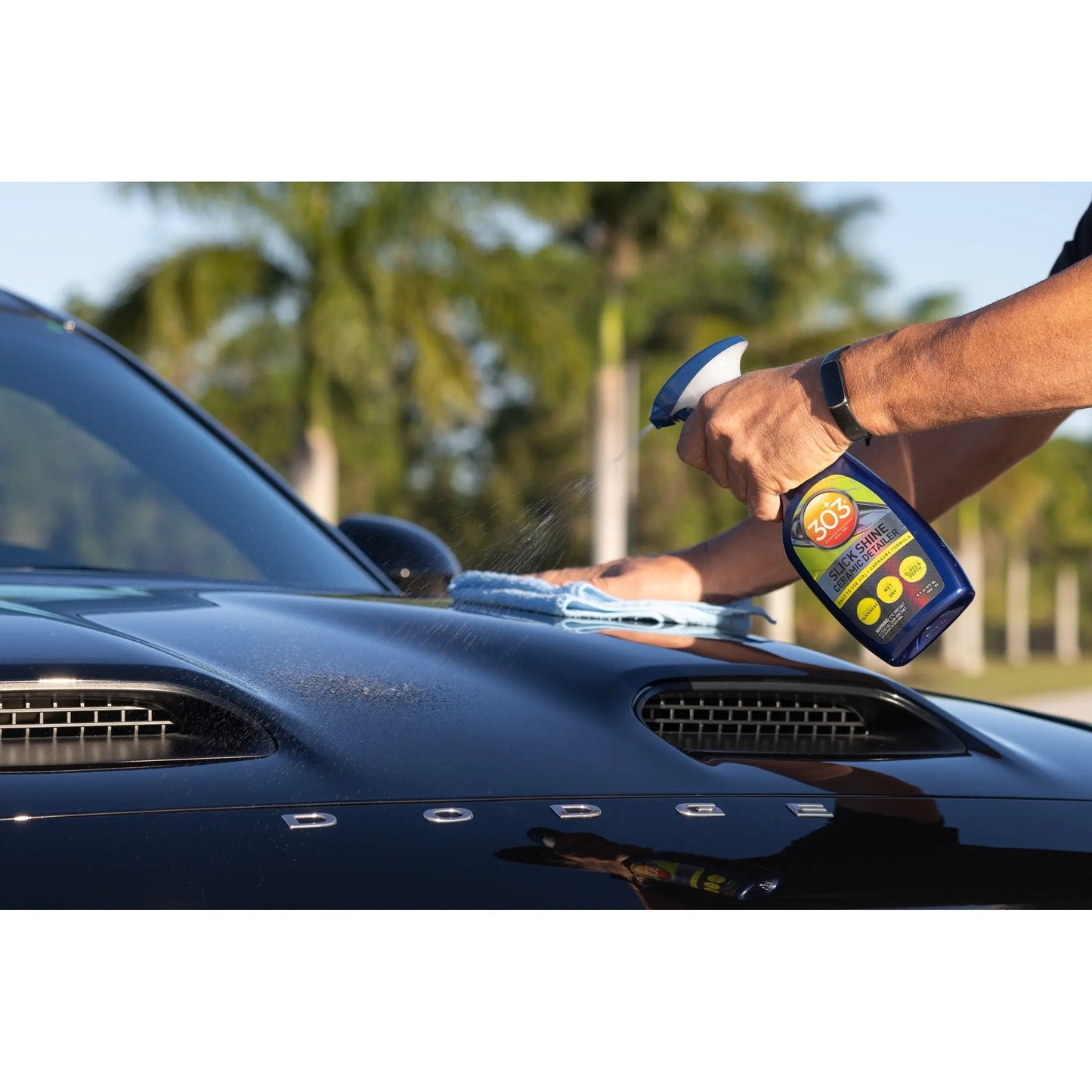 303 Slick Shine Ceramic Detailer (16oz) 303 Car Care
