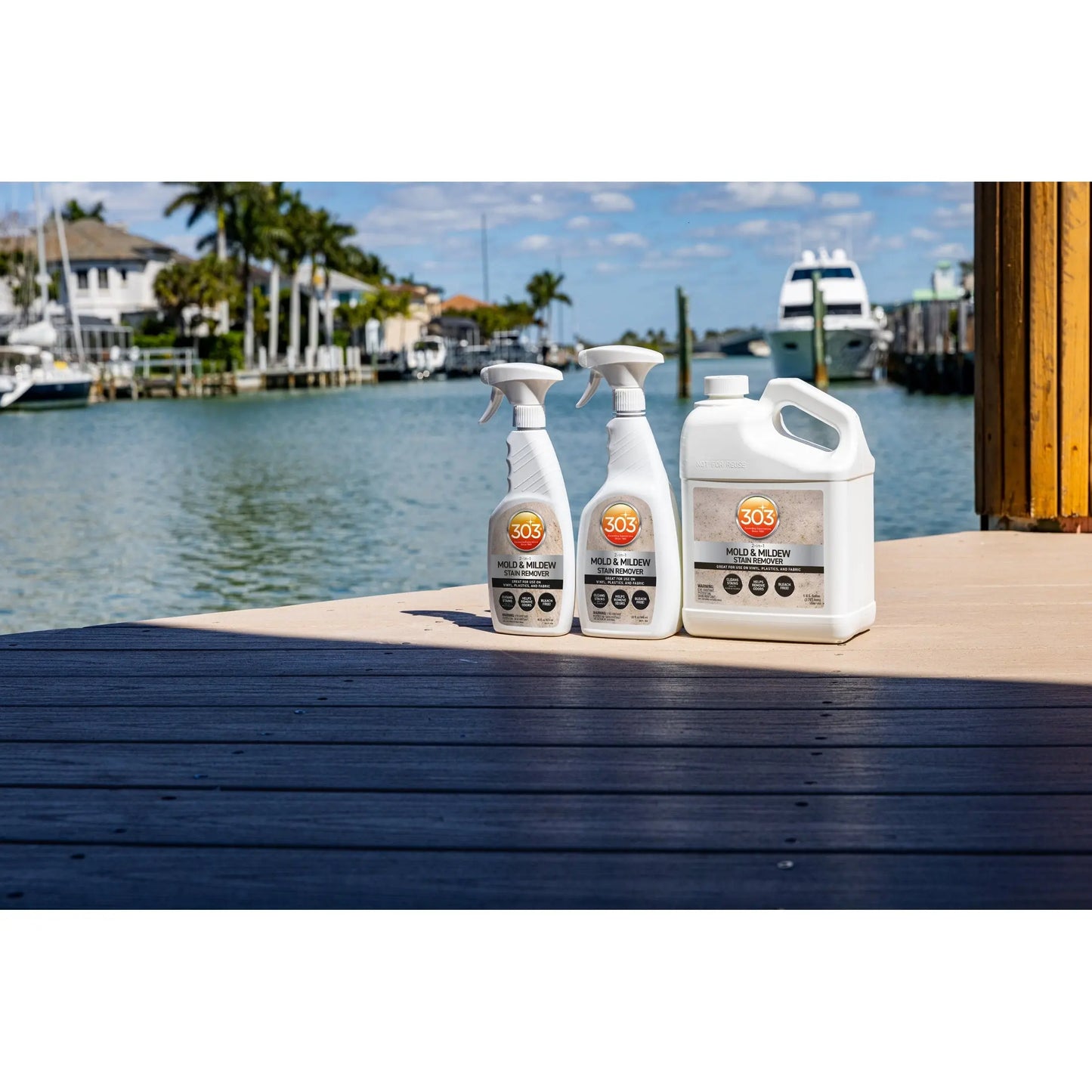 303 Mold & Mildew Cleaner + Blocker 303 Car Care