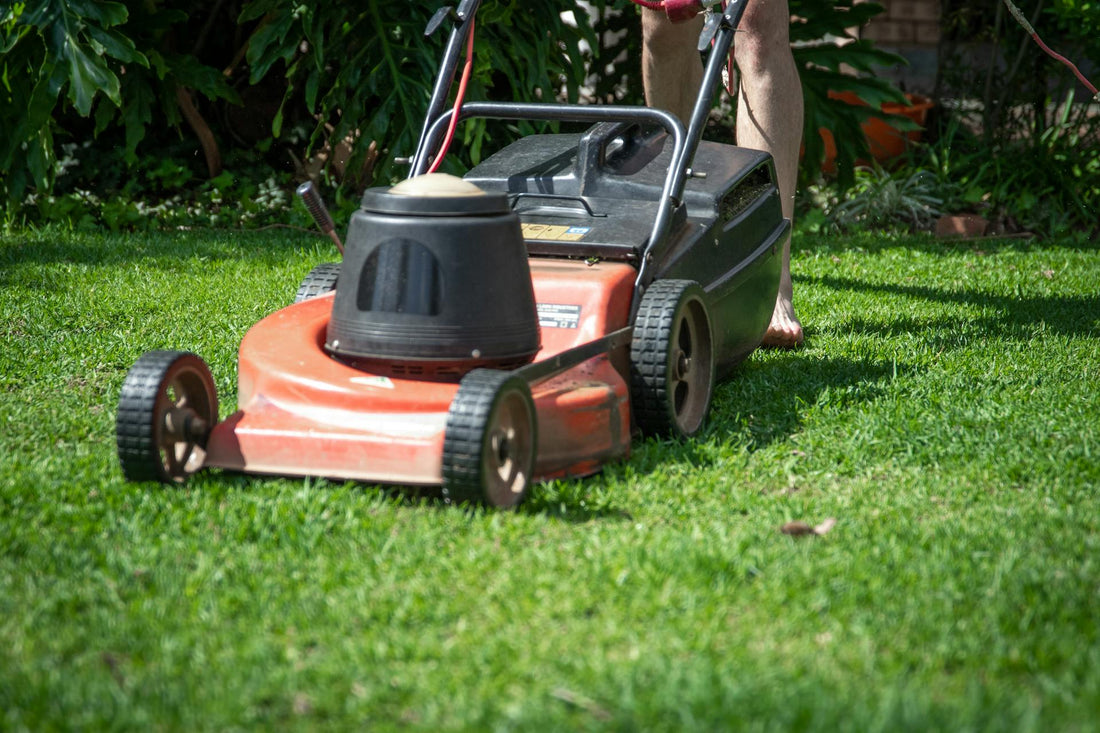 How to maintain and protect your lawn mower